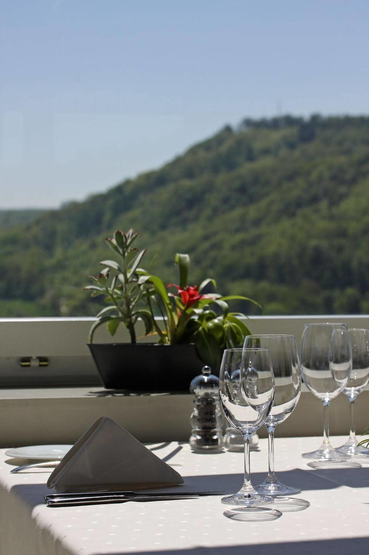 Wellness Hotel Tenedo - Thermalquellen Resort Bad Bad Zurzach Eksteriør billede
